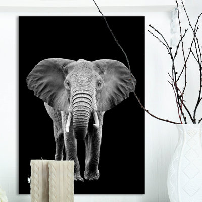 «Elephant on Dark», impression sur toile tendue