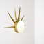 1 - Light LED Flush Mounted Sconce