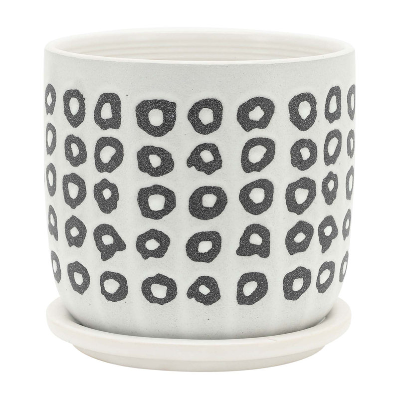 Versatile Ceramic Planter for Various Plants and Spaces, Enhancing Décor