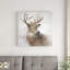 Winter Wonderland Deer - impression-35570587-33348862