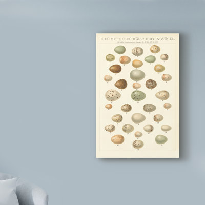 « songbird oeuf chart », reproduction de peinture à l’acrylique sur toile tendue