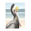 "Pelican Beach I" sur toile-98390327