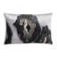 Jade Ikat Pillow Cover & Insert-55963647-94415195-94415196