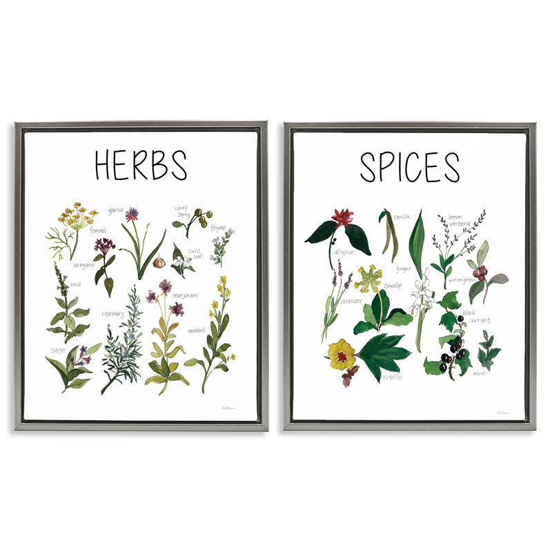Culinary Herbs & Spices 2pc Floating Frame Set, design by Carol Robinson, 21" H x 17" W, Luster Gray Floater Framed