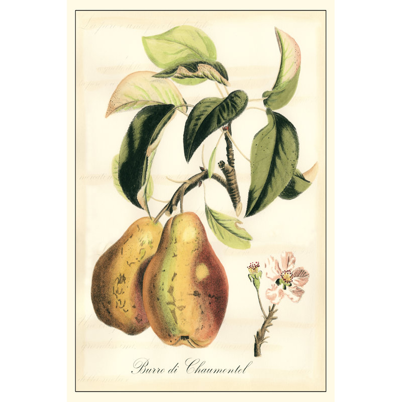 Tuscan Fruits IV by Vision Studio - Wrapped Canvas Art Prints, 46cm H x 30cm W x 3.8cm D