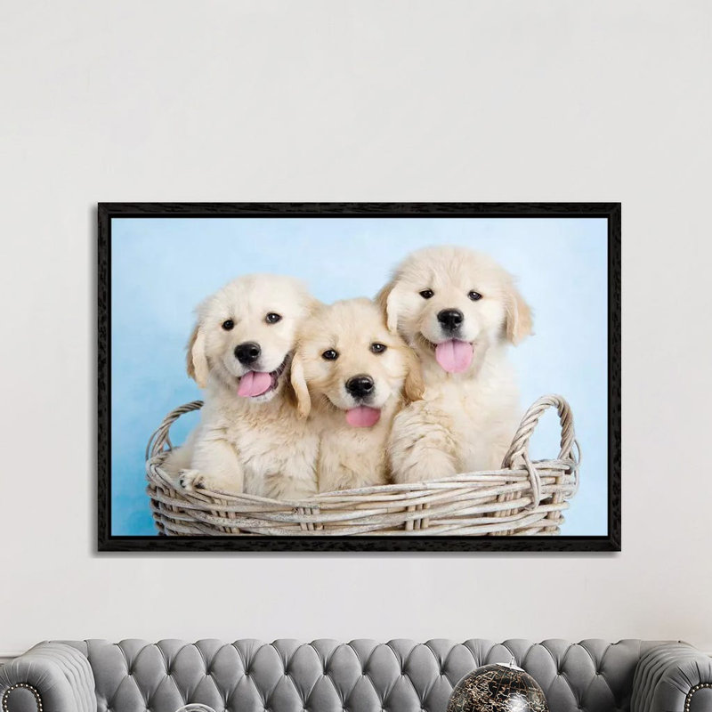 Buffy, Biskit, and Beau 1 Piece Wall Art on Canvas, 152.5 cm H x 101.5 cm W, Black Framed