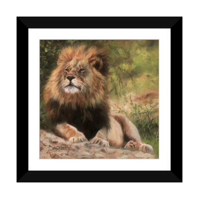 «Lion Laying Down», impression sur toile
