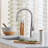 Rivana High-Arc Pull-Down Dual-Spray Kitchen Faucet-50901470