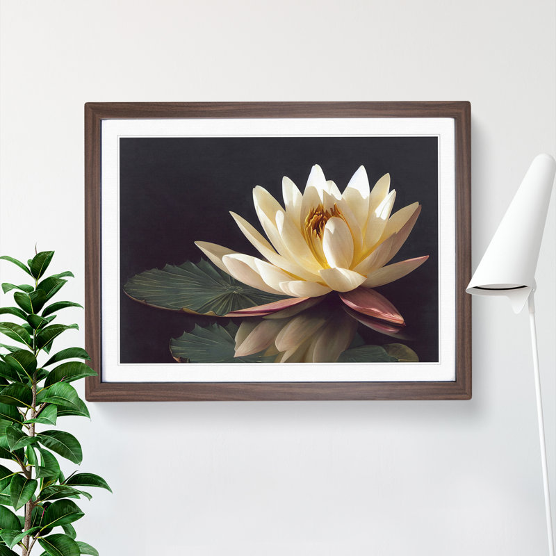 Sparkling Water Lily Flower - Framed Print, 34cm H x 46cm W x 2cm D, Walnut