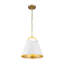 Luminaire suspendu 1 lumière