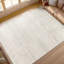 Area Rug in Gray