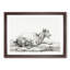 Resting Goat by Jean Bernard - Picture Frame Drawing Print-55598668-55598670