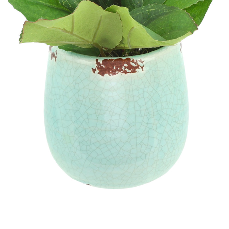 Peony in Ceramic Vase