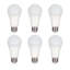 White LED Bulb-132194468-25605836-25605837
