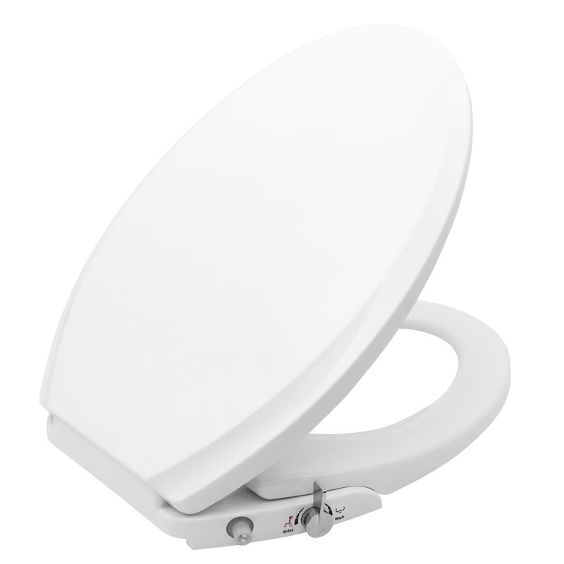 ANZZI Minnow 19 in. Elongated Manual Bidet Toilet Seat in White with Soft-Close Lid and Dual Self-Cleaning Nozzles