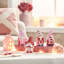 Warm Valentine 4,3 pouces décorations de gnome pour 4 pièces