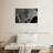 Bass Guitar-463189149