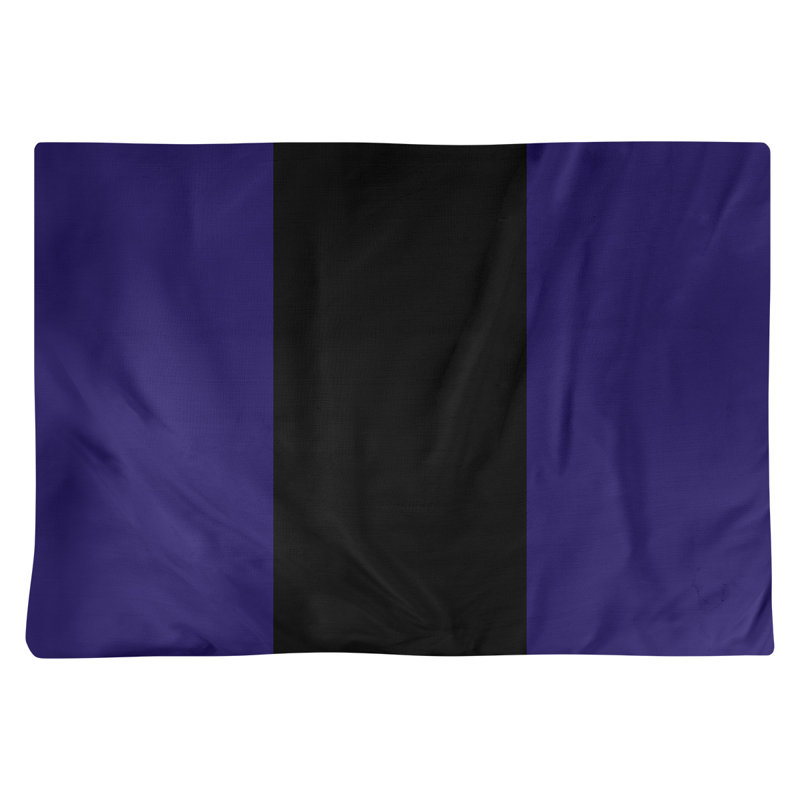 Récapitulatif 18" basket Phoenix, Mauve / noir / mauve, Polyester