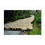 Art sur toile «Rhin Yair Turur»-109345693