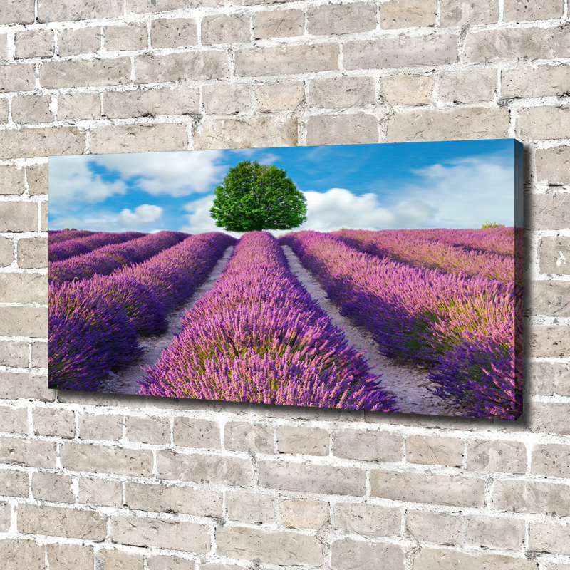 Lavender Field - Wrapped Canvas Print
