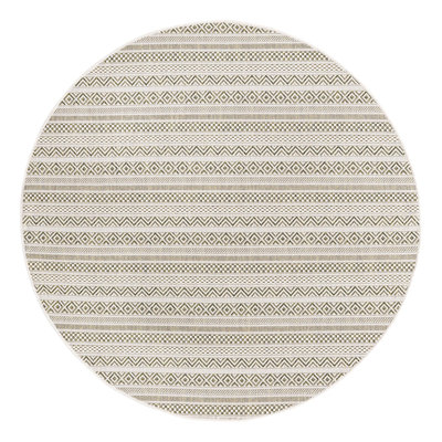 Striped Indoor / Outdoor Rug