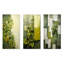 Plantes vertes respectueuses de l'environnement Symphony I - ensemble de 3 reproductions d'art mural abstrait en botanique-1228021126