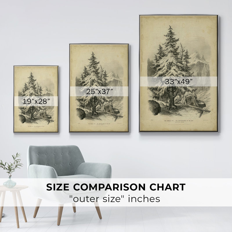 The Spruce, reproduction d'art sur toile, H 25 po x l 17 po x P 1,5 po, Encadrement argenté