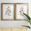 Lin Botanique Corail III - Étude nautique antique, encadrée sous verre acrylique, lot de 2, décoration murale côtière pour salon-1828045338-1828045340-1828045339