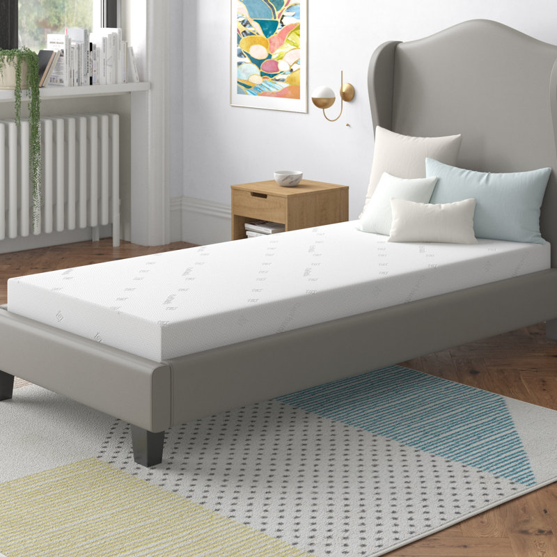 Symple Stuff Foam Mattress, Single (3')