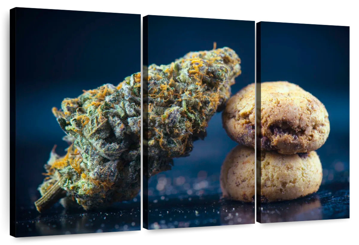 Marijuana Sweets Elephant Stock Marijuana Sweets | Wayfair