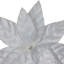 Tiges de poinsettia