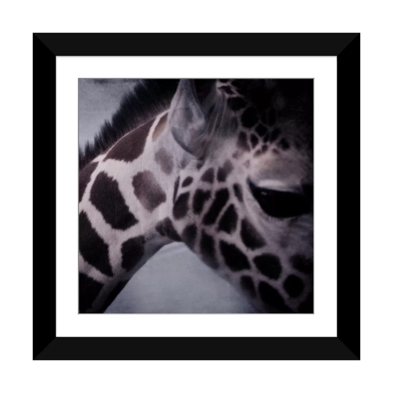 Giraffe ii, reproduction de photo sur toile tendue, Papier d'art encadré noir, Blanc, H 16 po x l 16 po x P 1 po