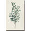 Victorian Garden Greenery I - Peinture-45359687-55046864