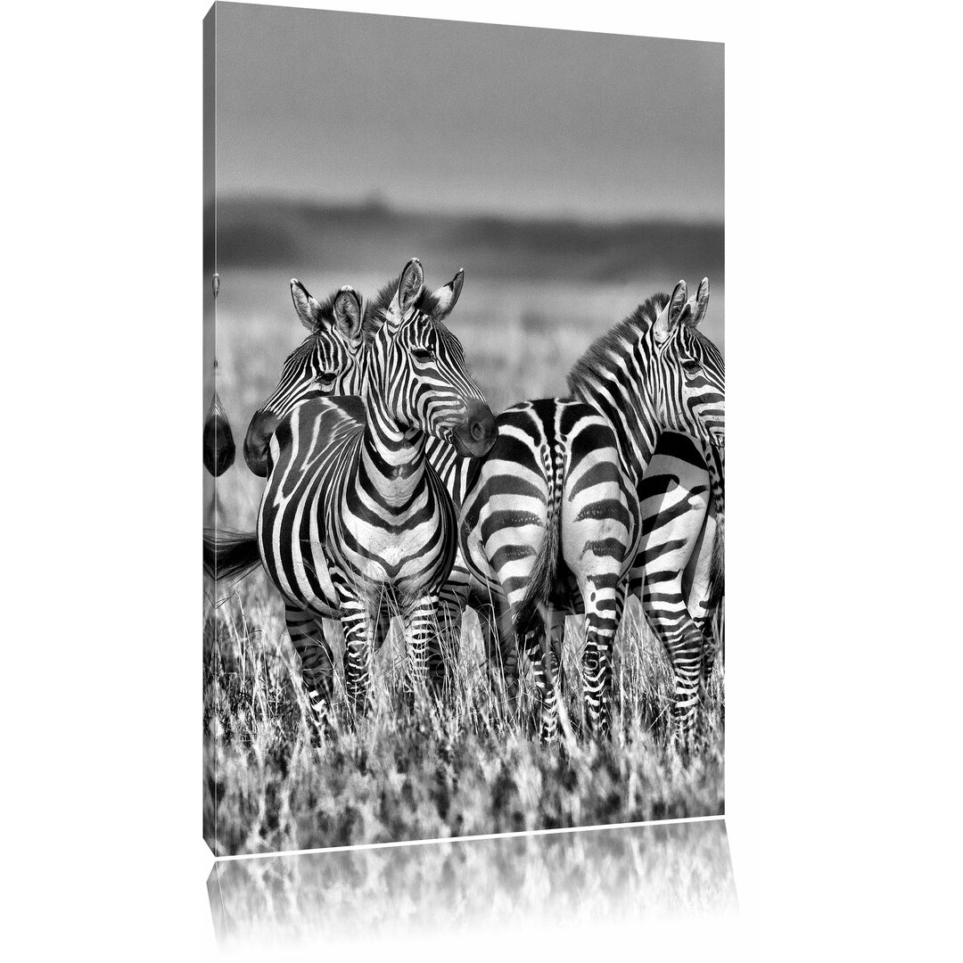 Leinwandbild Kleine Zebrahorde in Monochrom