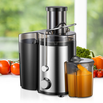 J-XIN Trading Co., Limited 800 W Safety Lock 2 Speed Electric Centrifugal Juicer Accessory