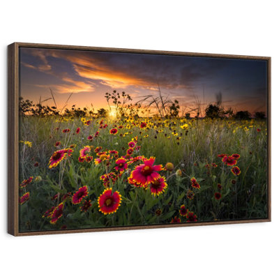 Dawn At Flower Field