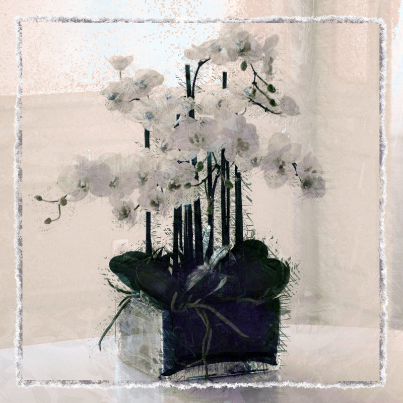 "Abdouallah Floral", ensemble de 1 reproduction sur toile tendue sur toile, H 12 po x l 12 po x P 1,5 po