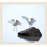 Coastal Morning 2' Framed Photographic Print on Glass