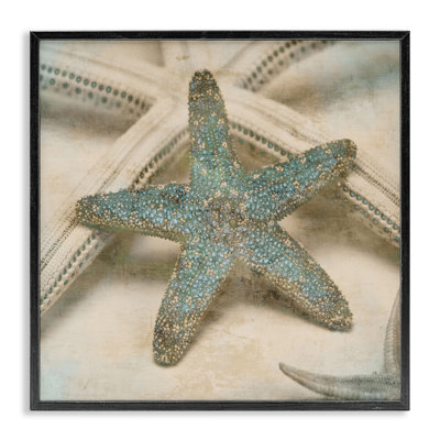 'Starfish' by Ziwei Li - Photograph Print