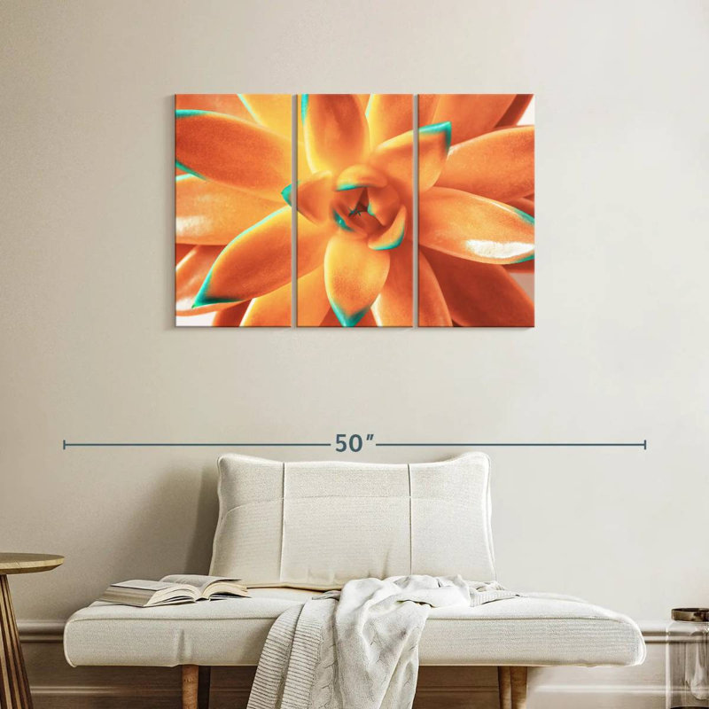 Plante grasse orange Harnek, H 24 po x l 38 po
