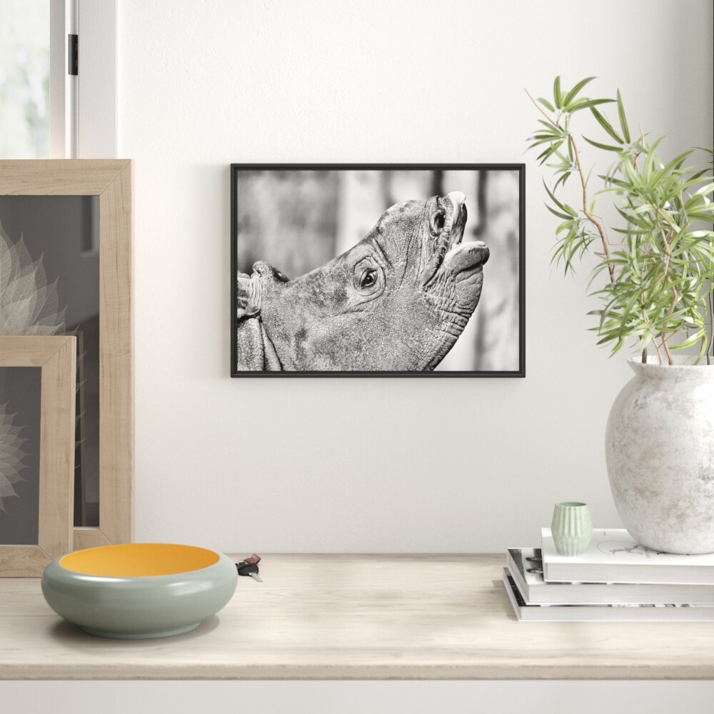 Gerahmtes Wandbild kleines Nashorn