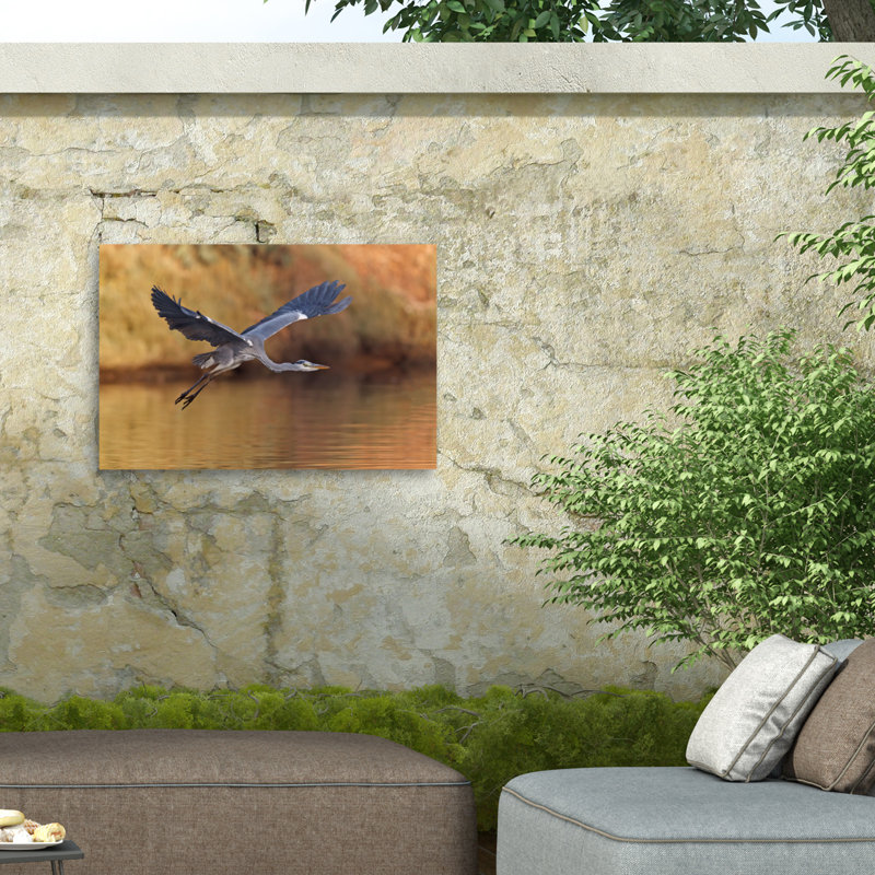Ardea Cinerea sur toile par Assaf Gavra, H 22 po x l 32 po