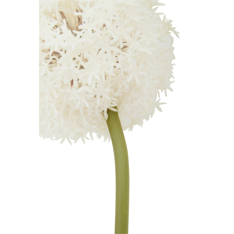 Fiori Allium Arrangement