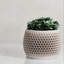8 po Pot de fleurs Honeycomb-137721283-137721286
