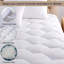 Danwood Waterproof Fitted Mattress Protector Case Pack-638942315