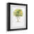 Black Framed Paper