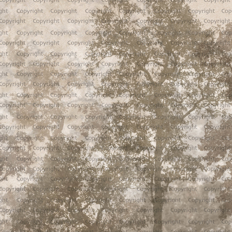 Papier peint mural Ethereal Forest Mist, Brun, L 66 po x l 122 po