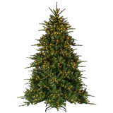 7.5 Ft. Ponderosa Fir Tree With Dual Color® LED Lights