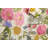 Loloi Botanical Ivory / Multi Area Rug-2142544005
