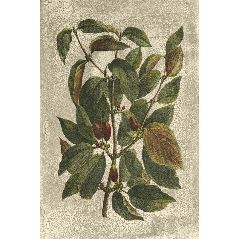 Arbre imprimé Deshayes II, H 30 po x l 20 po x P 1,25 po